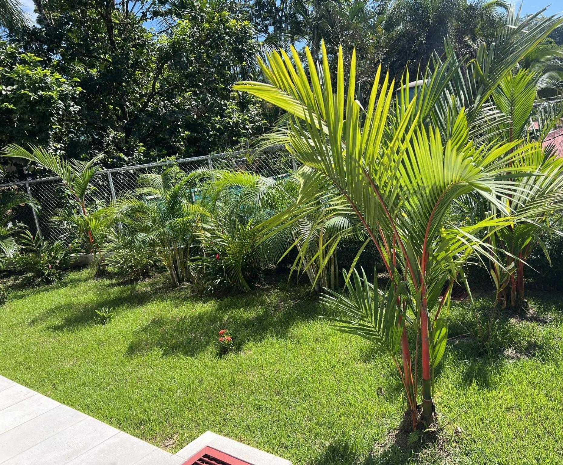 Villa Estrella Pavones Quarto foto